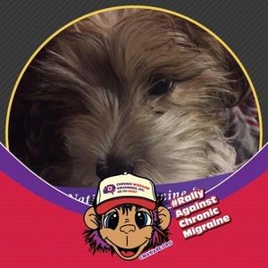 Meet your Posher, Dave